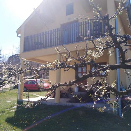 Dedinje Villa Jagodina Exterior foto