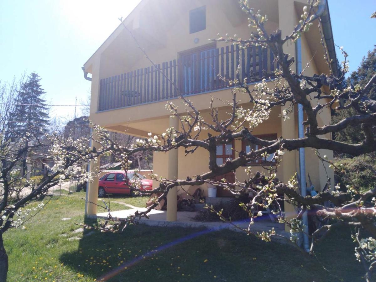 Dedinje Villa Jagodina Exterior foto