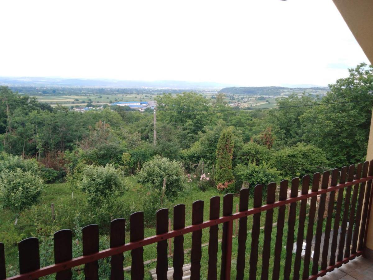 Dedinje Villa Jagodina Exterior foto